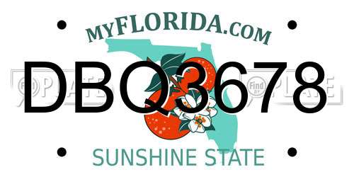 DBQ3678 Florida License Plate