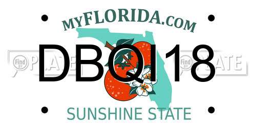 DBQI18 Florida License Plate