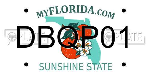 DBQP01 Florida License Plate