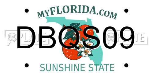 DBQS09 Florida License Plate