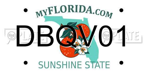 DBQV01 Florida License Plate