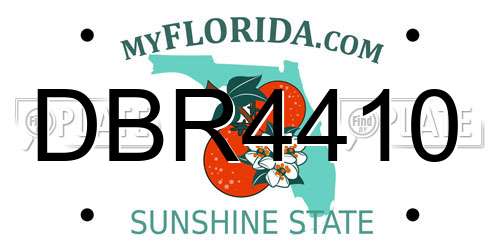 DBR4410 Florida License Plate