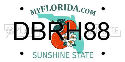 DBRH88 Florida License Plate
