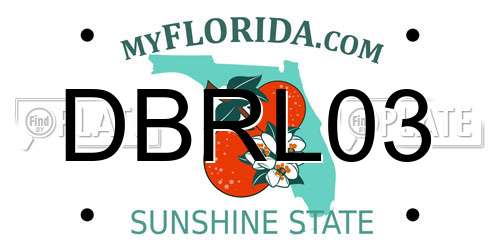 DBRL03 Florida License Plate