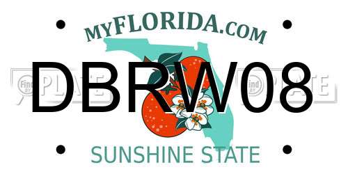 DBRW08 Florida License Plate