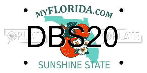 DBS20 Florida License Plate
