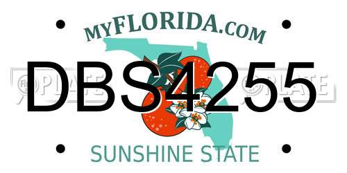 DBS4255 Florida License Plate
