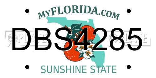 DBS4285 Florida License Plate
