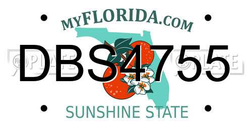 DBS4755 Florida License Plate