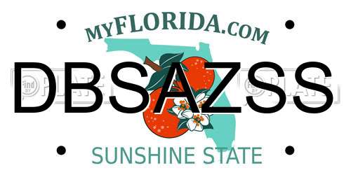 DBSAZSS Florida License Plate