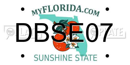 DBSE07 Florida License Plate
