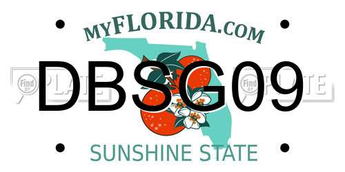 DBSG09 Florida License Plate