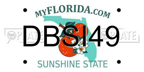 DBSI49 Florida License Plate