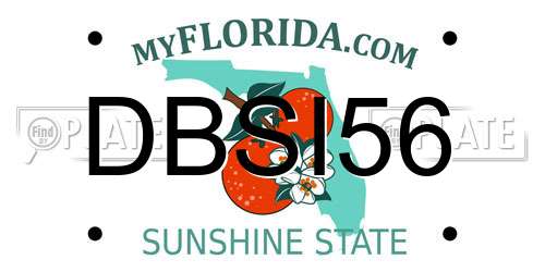 DBSI56 Florida License Plate