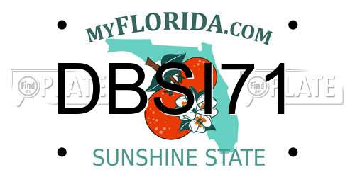 DBSI71 Florida License Plate