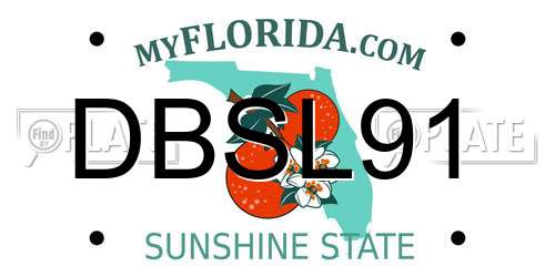 DBSL91 Florida License Plate
