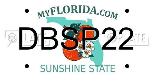 DBSP22 Florida License Plate
