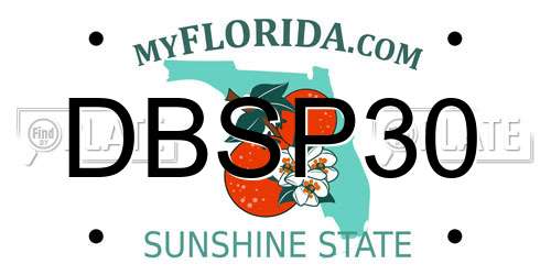 DBSP30 Florida License Plate