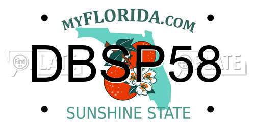 DBSP58 Florida License Plate