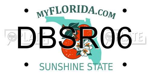 DBSR06 Florida License Plate