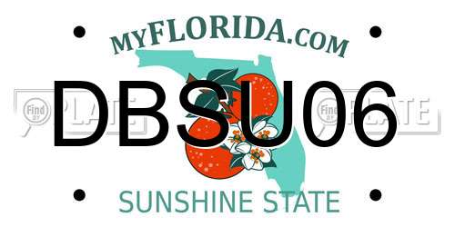 DBSU06 Florida License Plate