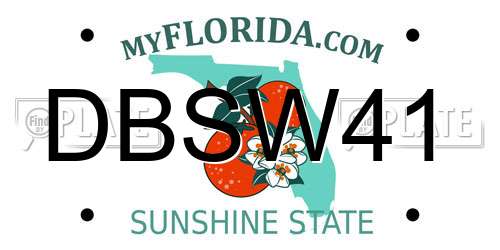 DBSW41 Florida License Plate