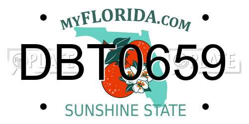 DBT0659 Florida License Plate
