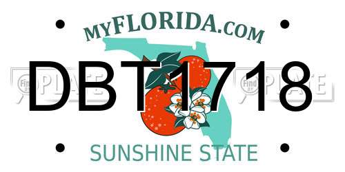 DBT1718 Florida License Plate