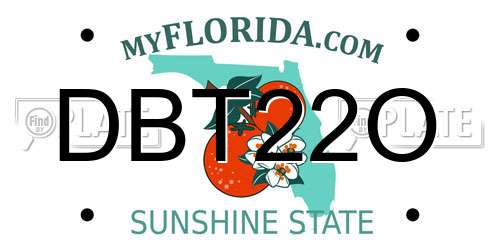DBT22O Florida License Plate