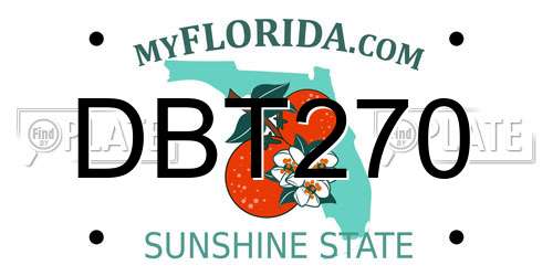 DBT270 Florida License Plate