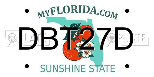 DBT27D Florida License Plate
