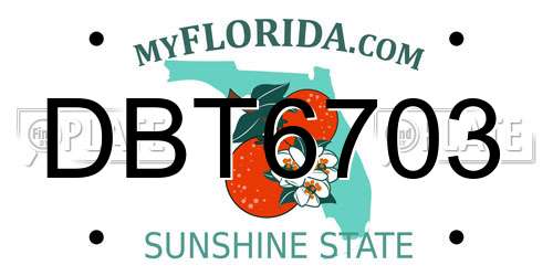DBT6703 Florida License Plate