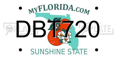 DBT720 Florida License Plate