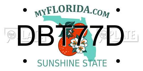 DBT77D Florida License Plate