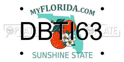 DBTI63 Florida License Plate
