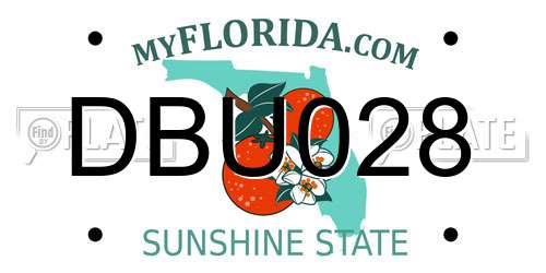 DBU028 Florida License Plate