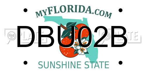 DBU02B Florida License Plate