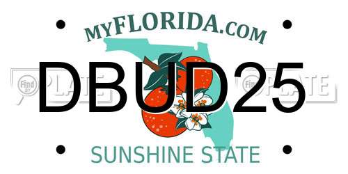 DBUD25 Florida License Plate