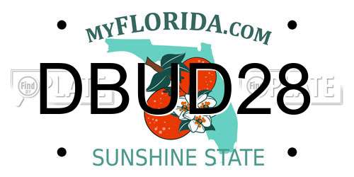 DBUD28 Florida License Plate