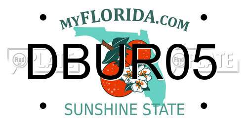DBUR05 Florida License Plate
