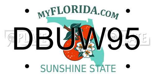 DBUW95 Florida License Plate