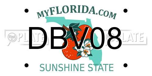 DBV08 Florida License Plate
