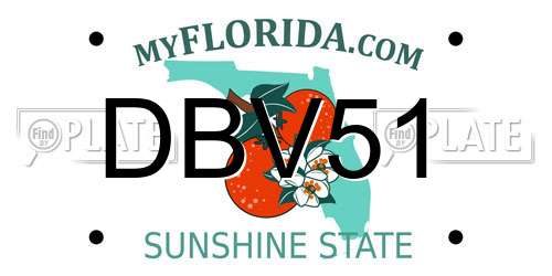 DBV51 Florida License Plate