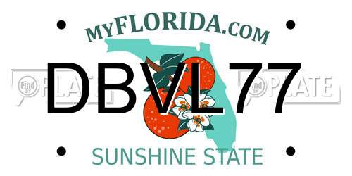 DBVL77 Florida License Plate