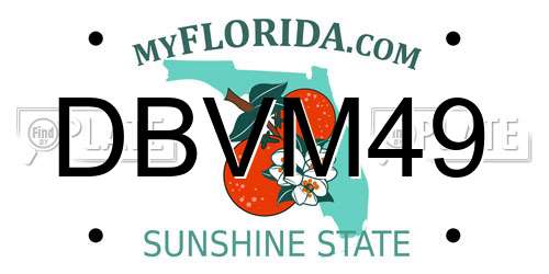 DBVM49 Florida License Plate