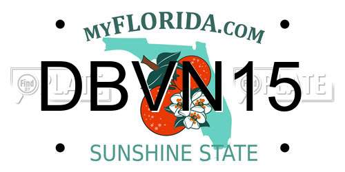 DBVN15 Florida License Plate
