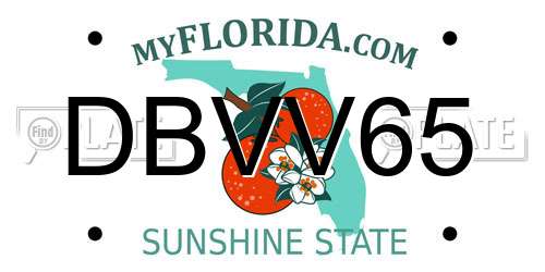 DBVV65 Florida License Plate