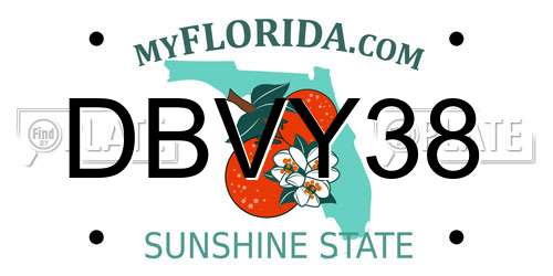 DBVY38 Florida License Plate