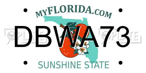 DBWA73 Florida License Plate