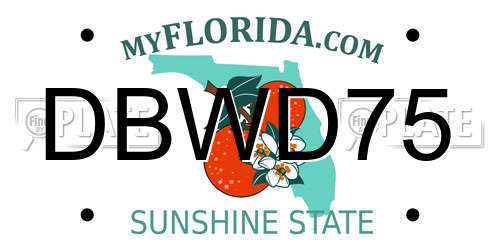 DBWD75 Florida License Plate